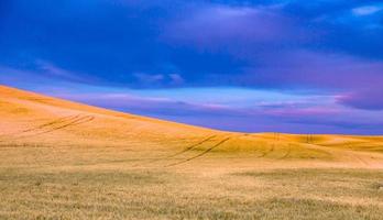 dolci colline e terreni agricoli a Palouse Washington foto