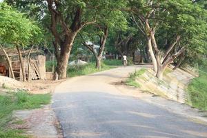 strada del villaggio con natura e alberi foto