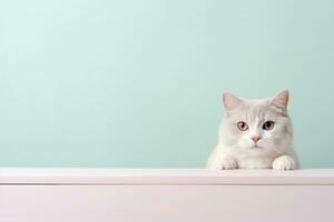 carino bianca gatto seduta con un' verde sfondo bellissimo ai generativo foto