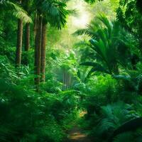 sfondo foresta tropicale foto