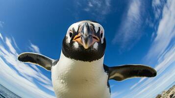 foto di un' pinguino sotto blu cielo. generativo ai