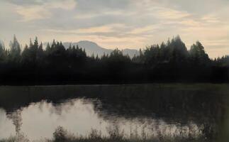 mattina nel il foresta con lago, ai generativo foto