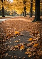 bellissimo autunno paesaggio insieme a. colorato fogliame nel il parco. caduta le foglie naturale sfondo. ai generato foto