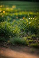 verde erba con tramonto visualizzazioni.. ai generato foto