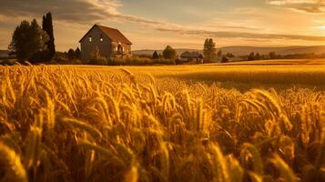 generativo ai, d'oro ora la tranquillità foto