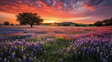 generativo ai, incantata fioriture un' vivace arazzo di Fiore di campo prati foto