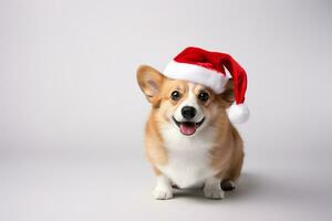 ritratto di corgi cane indossare Natale cappello. generativo ai. foto