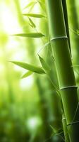 il verde bambù foresta. un' posto di pace e la tranquillità. ai generativo foto