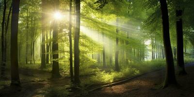 bellissimo raggi di luce del sole nel un' verde foresta. generativo ai foto