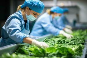 igiene e igiene standard nel il cibo industria foto