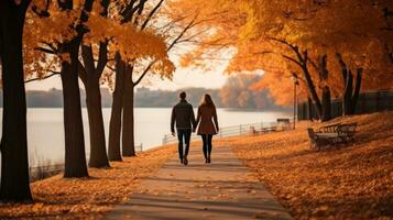 coppia a piedi nel parco con autunno fogliame foto