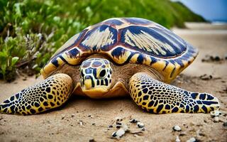 svelare della natura capolavoro, il squisito complessità di un' mare di tartaruga conchiglia nel sbalorditivo dettaglio. ai generato foto