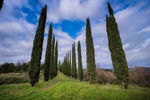 massa marittima, accesa lago - grosseto, toscana, italia foto