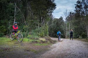 toscana, italia 2021- ignoti al lago accesa a circa 7 km da massa marittima foto