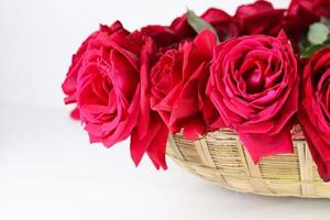 stock di rose rosse per san valentino foto