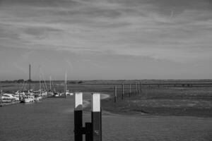 il isola di langeoog foto