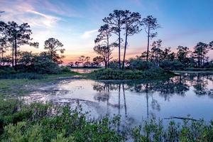 scene di paesaggi naturali intorno al parco statale dell'isola di caccia nella Carolina del sud foto