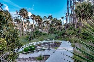 scene di paesaggi naturali intorno al parco statale dell'isola di caccia nella Carolina del sud foto