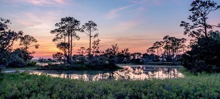 scene di paesaggi naturali intorno al parco statale dell'isola di caccia nella Carolina del sud foto