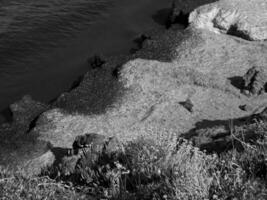 il isola di cortisa foto