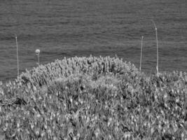 il isola di cortisa foto