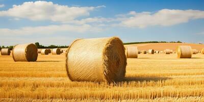 ai generato. ai generativo. autunno campagna raccogliere agricoltura il giro balle pila. all'aperto natura paesaggio. grafico arte foto