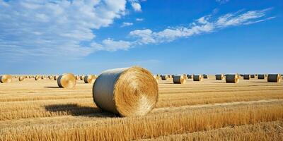 ai generato. ai generativo. autunno campagna raccogliere agricoltura il giro balle pila. all'aperto natura paesaggio. grafico arte foto