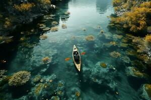 uccelli occhio prospettiva rivela kayaker in mezzo sereno, loto coperto lago acque ai generato foto