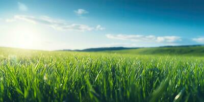 ai generato. ai generativo. verde fresco erba campo prato con blu cielo orizzonte sfondo. finto su ispirazione selvaggio all'aperto natura. grafico arte foto