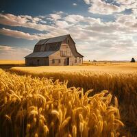 rustico fienile annidato nel d'oro Grano campo foto