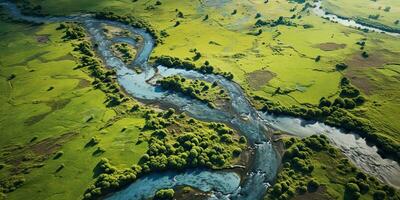 ai generato. ai generativo. sorprendente aereo fuco Visualizza natura all'aperto foresta campo prato con fiume e uccelli nel il cielo. grafico arte foto