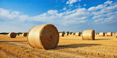 ai generato. ai generativo. autunno campagna raccogliere agricoltura il giro balle pila. all'aperto natura paesaggio. grafico arte foto