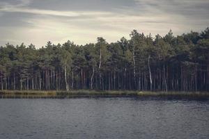 foresta che cresce lungo la riva del lago con acqua scura increspata in una luce nebbiosa foto