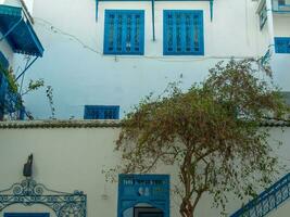 il vecchio città di tunis foto