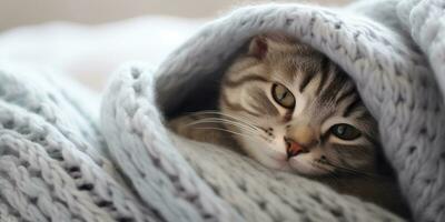 ai generato. ai generativo. accogliente divertente gatto addormentato sotto caldo lenzuolo. casa freddo sfondo. grafico arte foto