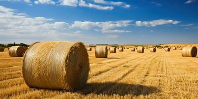 ai generato. ai generativo. autunno campagna raccogliere agricoltura il giro balle pila. all'aperto natura paesaggio. grafico arte foto