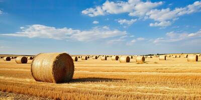 ai generato. ai generativo. autunno campagna raccogliere agricoltura il giro balle pila. all'aperto natura paesaggio. grafico arte foto