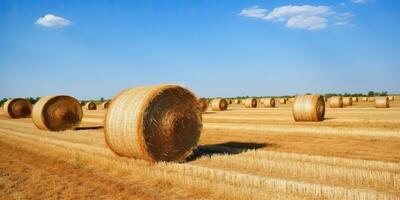 ai generato. ai generativo. autunno campagna raccogliere agricoltura il giro balle pila. all'aperto natura paesaggio. grafico arte foto