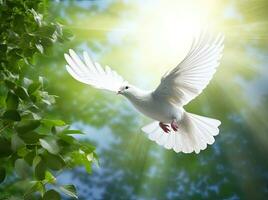 un' gratuito bianca colomba Tenere verde foglia ramo volante nel il cielo. internazionale giorno di pace concetto sfondo. creato con generativo ai tecnologia. foto