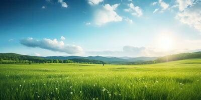 ai generato. ai generativo. verde fresco erba campo prato con blu cielo orizzonte sfondo. finto su ispirazione selvaggio all'aperto natura. grafico arte foto