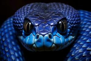 pluripremiato fotografia di blu insulare vipera serpente, generativo ai foto