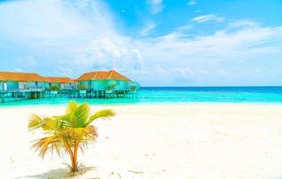 bellissimo resort tropicale delle Maldive e isola con spiaggia e mare and