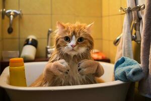 gatto preparazione per fare il bagno nel il bagno. generativo di ai foto