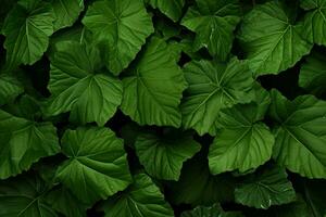 verde struttura di le foglie. generativo di ai foto