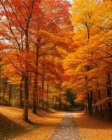 foto strada è circondato di alberi con colorato le foglie durante autunno ai-generato