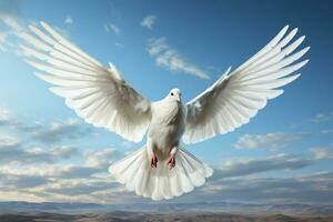 isolato su bianca, un' bianca colomba scivola con grazia con disteso Ali ai generato foto