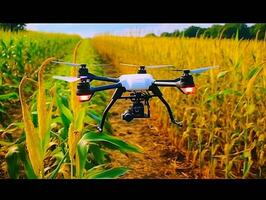 agricoltori uso droni per tenere sotto controllo il qualità di verde mais.generativo ai. foto