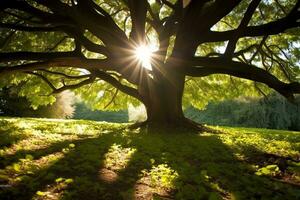 verde foresta con soleggiato day.generative ai. foto