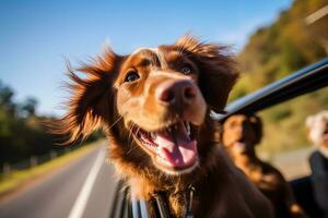 contento cane con testa su di il auto finestra.generativa ai. foto