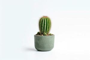 cactus nel pentola isolato su bianca background.generative ai. foto